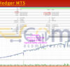 VolumeHedger MT5 Backtest