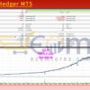 VolumeHedger MT5 Backtests