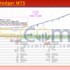 VolumeHedger MT5 Backtests Result