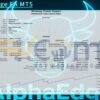 AlphaEdge EA MT5 Backtests
