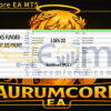 AurumCore EA MT5 Backtests