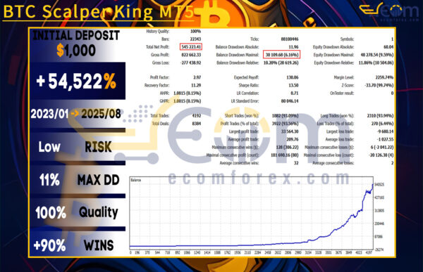 BTC Scalper King MT5 Backtest