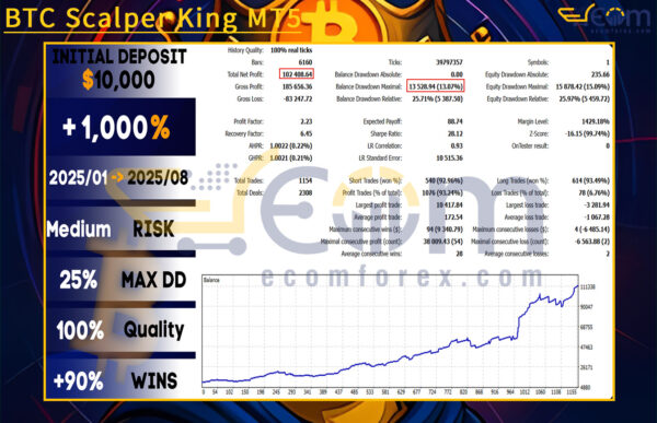 BTC Scalper King MT5 Backtests