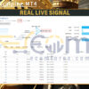 Bitcoin Scalping MT4 Live Result