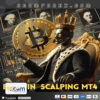 Bitcoin Scalping MT4 Logo