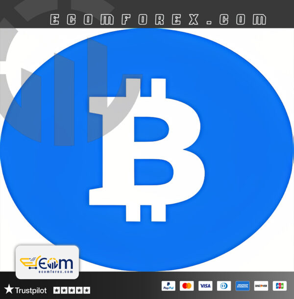 Bitcoin Scalping Robot MT5 Logo