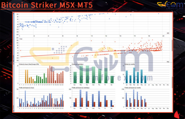 Bitcoin Striker M5X MT5 Backtests
