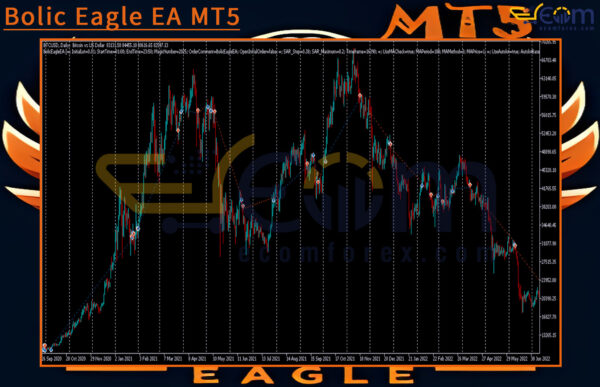 Bolic Eagle EA MT5 Reviews
