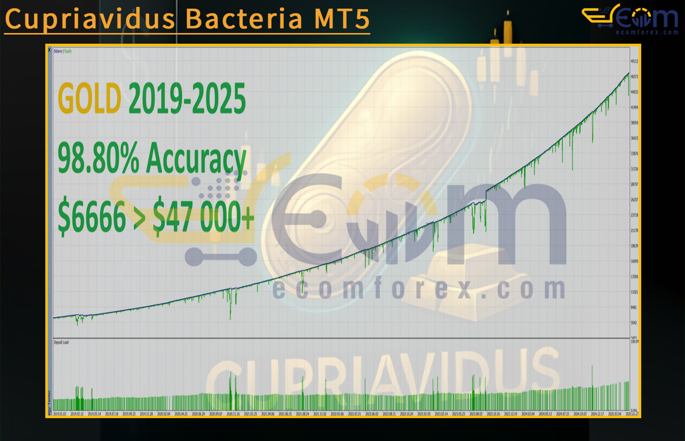 Cupriavidus Bacteria MT5 Backtests