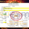 Dc Invest Matrix One MT5 Backtests