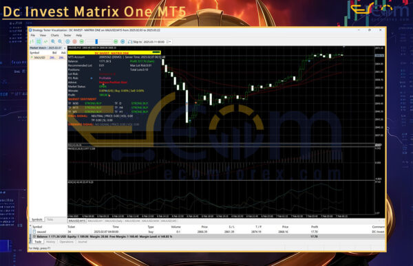 Dc Invest Matrix One MT5 Review
