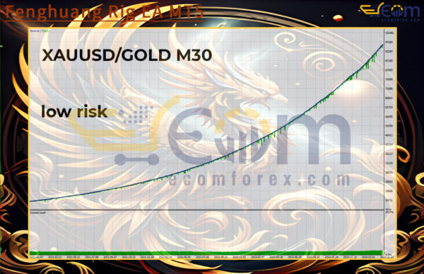 Fenghuang Rig EA MT5 Backtest Result