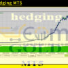 Gold Hedging MT5 Backtests