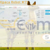 Golden Alpaca Robot MT5 Live Result