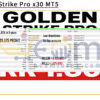 Golden Strike Pro x30 MT5 Backtest