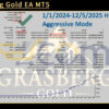 Grasberg Gold EA MT5 Backtest