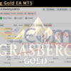 Grasberg Gold EA MT5 Live Result MyfxBook
