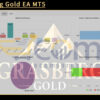 Grasberg Gold EA MT5 Live Result MyfxBooks
