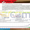 Hunting Cat Scalper MT5 Backtest