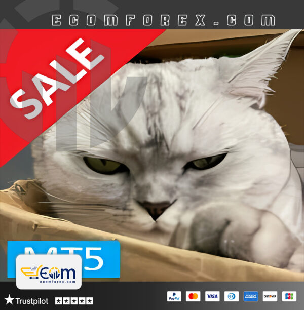 Hunting Cat Scalper MT5 Logo