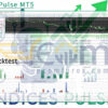 Indices Pulse MT5 Backtest