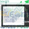 Indices Pulse MT5 Input