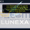 Lunexa MT4 Input