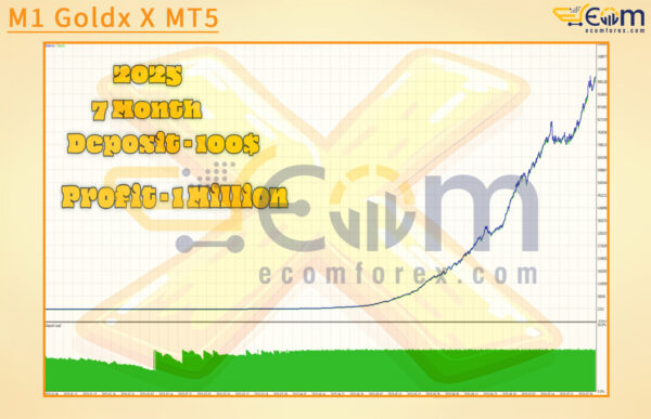 M1 Goldx X MT5 Backtest