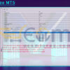 MAX Forex MT5 Input