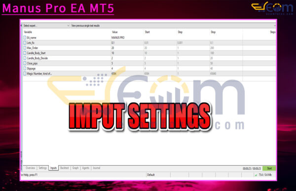 Manus Pro EA MT5 Input
