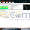 MarketTrader EA MT5 Input
