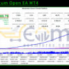 Momentum Open EA MT4 Backtest