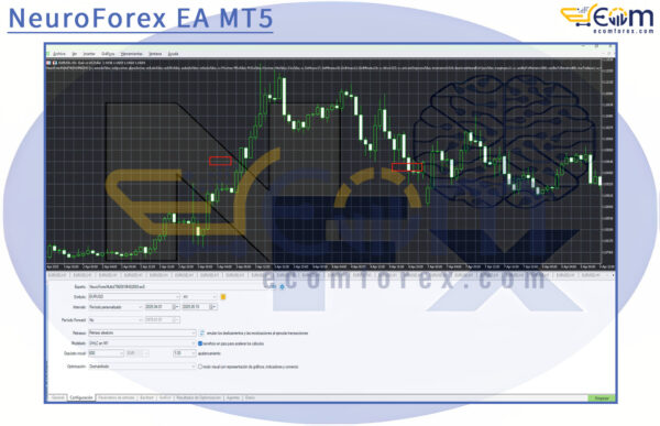 NeuroForex EA MT5 Input