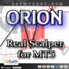 OrionMT5 Logo