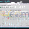 Parabellum EA MT4 Live Result MyfxBook