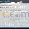 Parabellum EA MT4 Live Result MyfxBooks