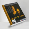 Queen Of Gold MT5