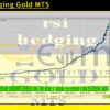 RSI Hedging Gold MT5 Backtest