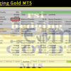 RSI Hedging Gold MT5 Backtests