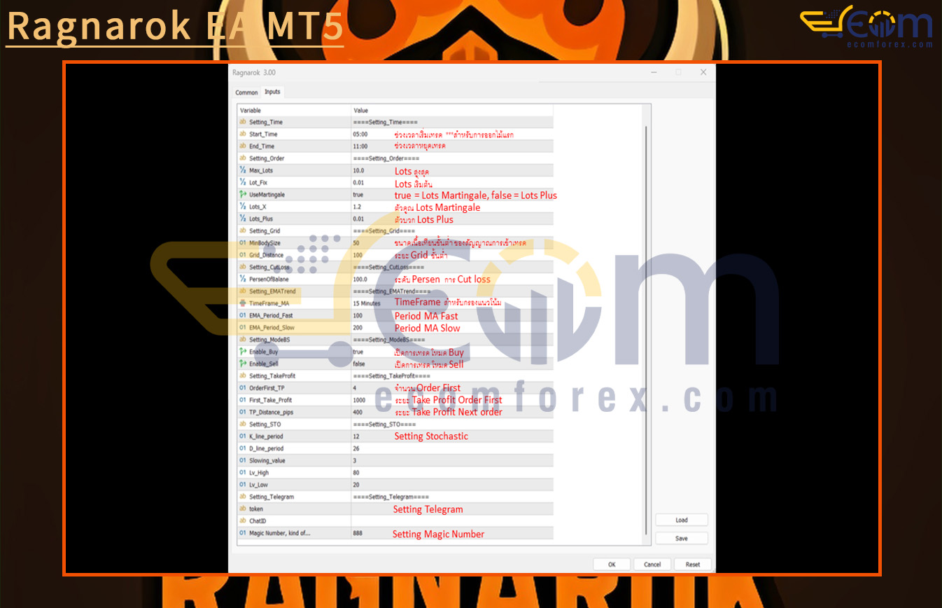Ragnarok EA MT5 Input