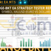 Range bkt EA MT5 Backtests Result