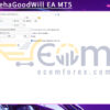 RitzEAnehaGoodWill EA MT5 Input