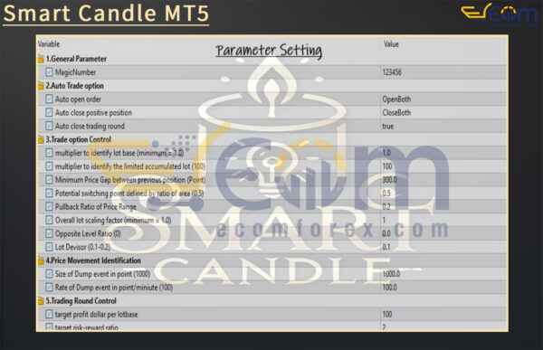 Smart Candle MT5 Input