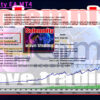 Solemnity EA MT4 Backtest