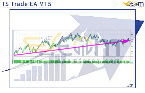 TS Trade EA MT5 Backtests