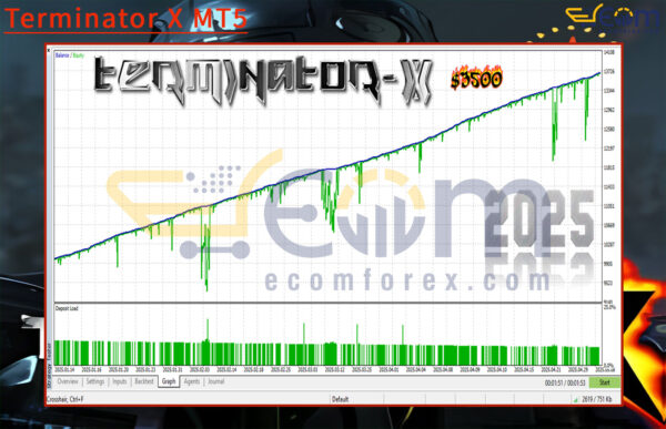 Terminator X MT5 Backtests