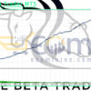 The Beta Trader MT5 Backtest