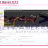 The Gold Buyer MT5 Input