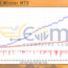 The Gold Winner MT5 Backtest