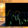 The Gold Winner MT5 Review
